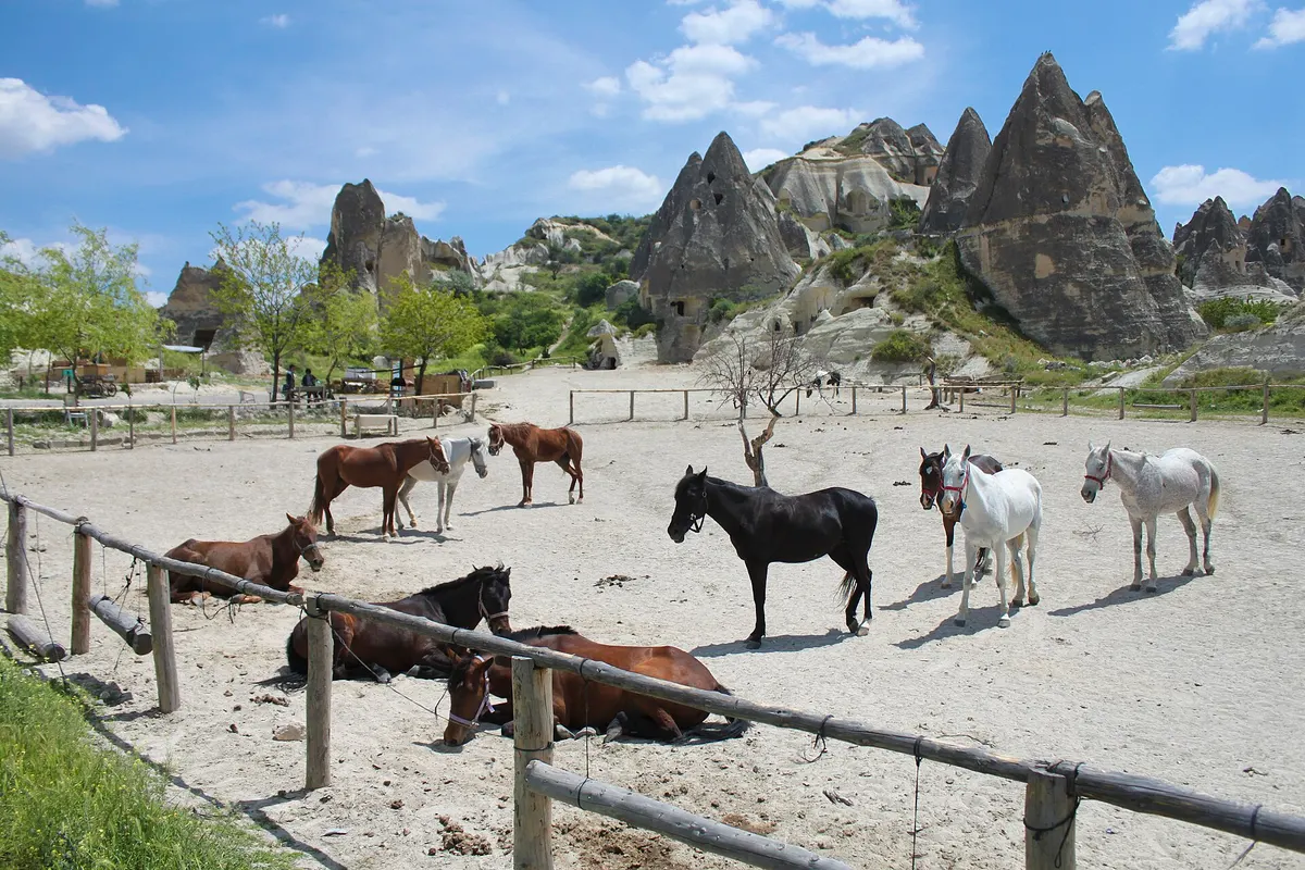 A rider on horseback in a valley near Göreme, Cappadocia